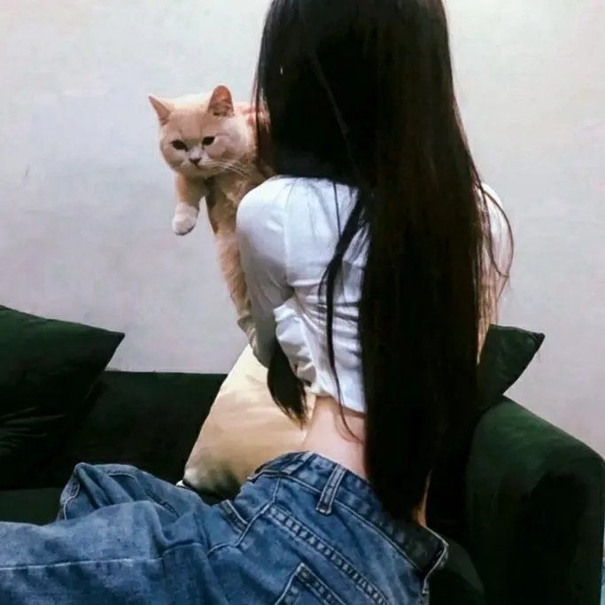 大而不倒